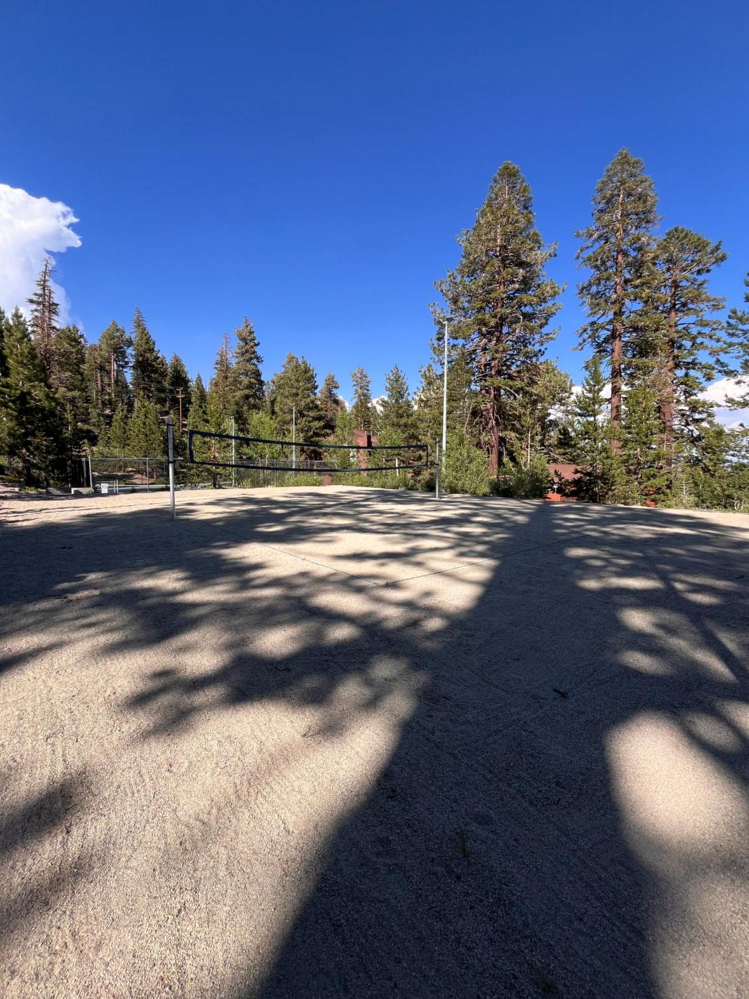 Tastefully Remodeled Condo At Mammoth Ski & Racquet Club, Hot Tub, Garage, 10 Min Walk To Ski Lifts マンモス・レイクス エクステリア 写真